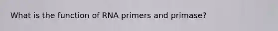 What is the function of RNA primers and primase?