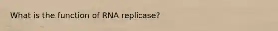 What is the function of RNA replicase?