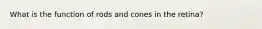 What is the function of rods and cones in the retina?