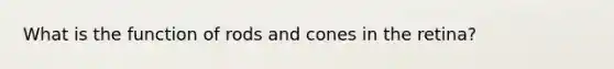 What is the function of rods and cones in the retina?