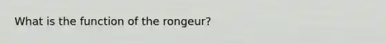 What is the function of the rongeur?