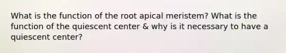 What is the function of the root apical meristem? What is the function of the quiescent center & why is it necessary to have a quiescent center?