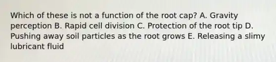 Which of these is not a function of the root cap? A. Gravity perception B. Rapid cell division C. Protection of the root tip D. Pushing away soil particles as the root grows E. Releasing a slimy lubricant fluid