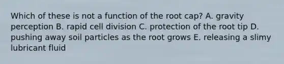 Which of these is not a function of the root cap? A. gravity perception B. rapid <a href='https://www.questionai.com/knowledge/kjHVAH8Me4-cell-division' class='anchor-knowledge'>cell division</a> C. protection of the root tip D. pushing away soil particles as the root grows E. releasing a slimy lubricant fluid