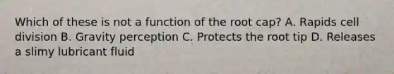 Which of these is not a function of the root cap? A. Rapids cell division B. Gravity perception C. Protects the root tip D. Releases a slimy lubricant fluid