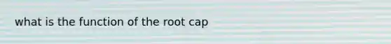 what is the function of the root cap