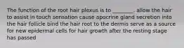 The function of the root hair plexus is to ________. allow the hair to assist in touch sensation cause apocrine gland secretion into the hair follicle bind the hair root to the dermis serve as a source for new epidermal cells for hair growth after the resting stage has passed