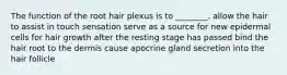 The function of the root hair plexus is to ________. allow the hair to assist in touch sensation serve as a source for new epidermal cells for hair growth after the resting stage has passed bind the hair root to the dermis cause apocrine gland secretion into the hair follicle