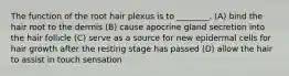 The function of the root hair plexus is to ________. (A) bind the hair root to the dermis (B) cause apocrine gland secretion into the hair follicle (C) serve as a source for new epidermal cells for hair growth after the resting stage has passed (D) allow the hair to assist in touch sensation