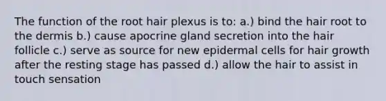 The function of the root hair plexus is to: a.) bind the hair root to the dermis b.) cause apocrine gland secretion into the hair follicle c.) serve as source for new epidermal cells for hair growth after the resting stage has passed d.) allow the hair to assist in touch sensation