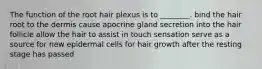 The function of the root hair plexus is to ________. bind the hair root to the dermis cause apocrine gland secretion into the hair follicle allow the hair to assist in touch sensation serve as a source for new epidermal cells for hair growth after the resting stage has passed