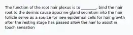 The function of the root hair plexus is to ________. bind the hair root to the dermis cause apocrine gland secretion into the hair follicle serve as a source for new epidermal cells for hair growth after the resting stage has passed allow the hair to assist in touch sensation