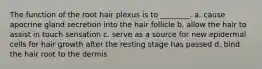 The function of the root hair plexus is to ________. a. cause apocrine gland secretion into the hair follicle b. allow the hair to assist in touch sensation c. serve as a source for new epidermal cells for hair growth after the resting stage has passed d. bind the hair root to the dermis