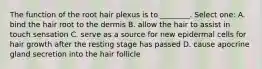 The function of the root hair plexus is to ________. Select one: A. bind the hair root to the dermis B. allow the hair to assist in touch sensation C. serve as a source for new epidermal cells for hair growth after the resting stage has passed D. cause apocrine gland secretion into the hair follicle