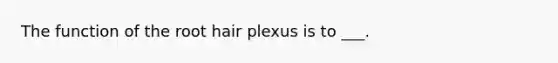 The function of the root hair plexus is to ___.