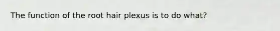 The function of the root hair plexus is to do what?