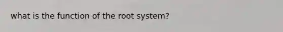 what is the function of the root system?