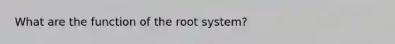 What are the function of the root system?