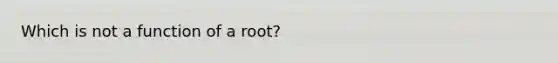 Which is not a function of a root?