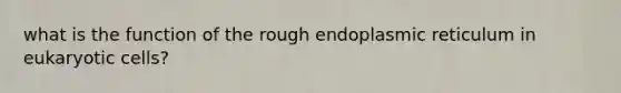 what is the function of the rough endoplasmic reticulum in eukaryotic cells?