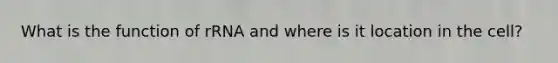 What is the function of rRNA and where is it location in the cell?