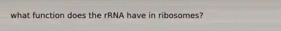 what function does the rRNA have in ribosomes?