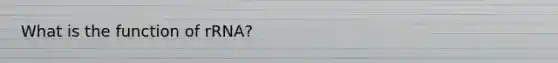 What is the function of rRNA?