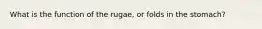 What is the function of the rugae, or folds in the stomach?