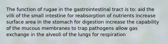 The function of rugae in the gastrointestinal tract is to: aid the villi of the small intestine for reabsorption of nutrients increase surface area in the stomach for digestion increase the capability of the mucous membranes to trap pathogens allow gas exchange in the alveoli of the lungs for respiration