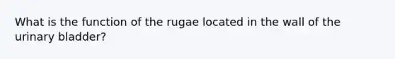 What is the function of the rugae located in the wall of the urinary bladder?