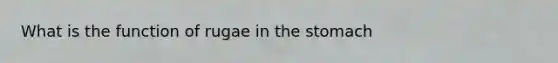 What is the function of rugae in the stomach