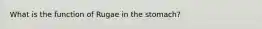 What is the function of Rugae in the stomach?