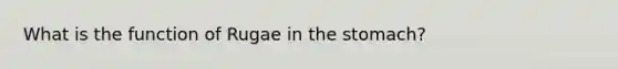 What is the function of Rugae in the stomach?
