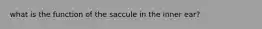 what is the function of the saccule in the inner ear?