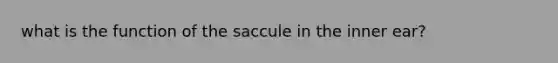 what is the function of the saccule in the inner ear?