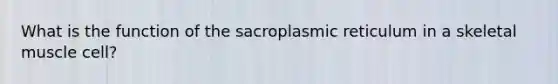 What is the function of the sacroplasmic reticulum in a skeletal muscle cell?