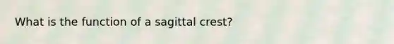 What is the function of a sagittal crest?