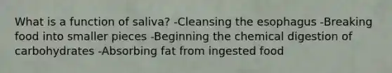 What is a function of saliva? -Cleansing the esophagus -Breaking food into smaller pieces -Beginning the chemical digestion of carbohydrates -Absorbing fat from ingested food