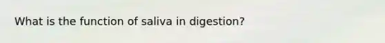 What is the function of saliva in digestion?