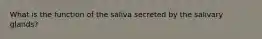 What is the function of the saliva secreted by the salivary glands?