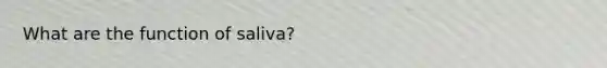 What are the function of saliva?