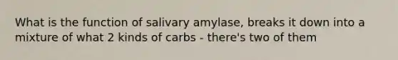 What is the function of salivary amylase, breaks it down into a mixture of what 2 kinds of carbs - there's two of them