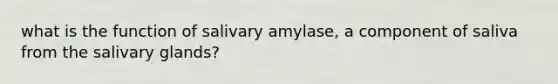 what is the function of salivary amylase, a component of saliva from the salivary glands?