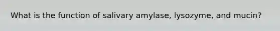 What is the function of salivary amylase, lysozyme, and mucin?