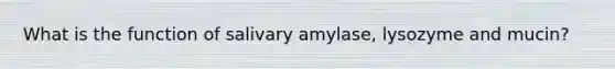 What is the function of salivary amylase, lysozyme and mucin?