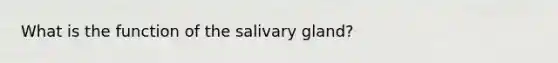 What is the function of the salivary gland?