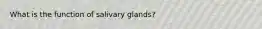 What is the function of salivary glands?