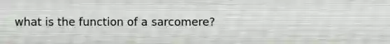 what is the function of a sarcomere?