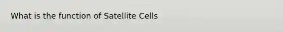 What is the function of Satellite Cells