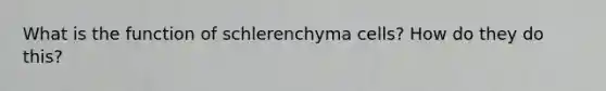 What is the function of schlerenchyma cells? How do they do this?